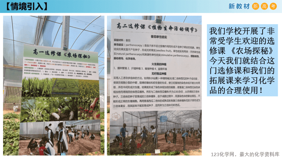课时7493_化学品的合理使用-教学课件 必修第二册 第八章 第二节 第一课时《化学品的合理利用》-2