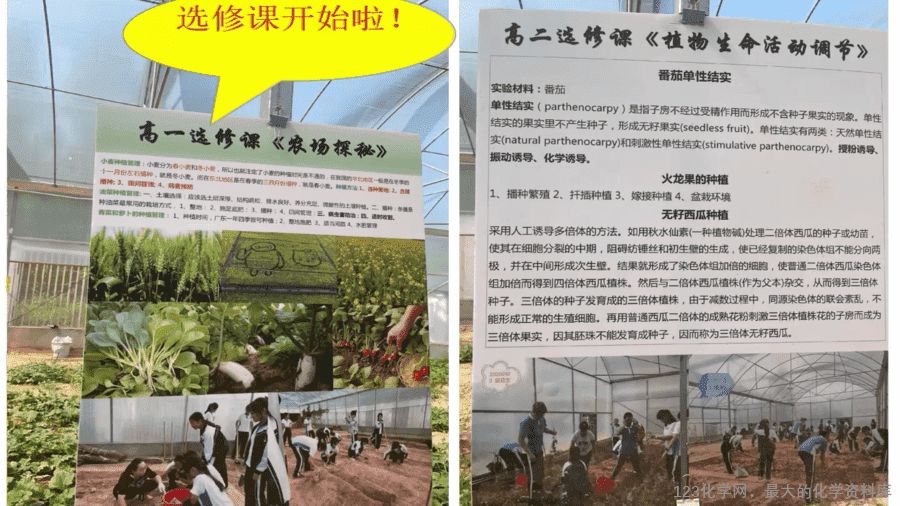 课时7493_化学品的合理使用-教学课件 必修第二册 第八章 第二节 第一课时《化学品的合理利用》-3