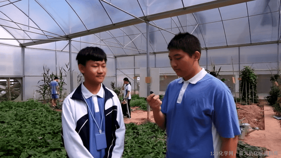 课时7493_化学品的合理使用-教学课件 必修第二册 第八章 第二节 第一课时《化学品的合理利用》-5