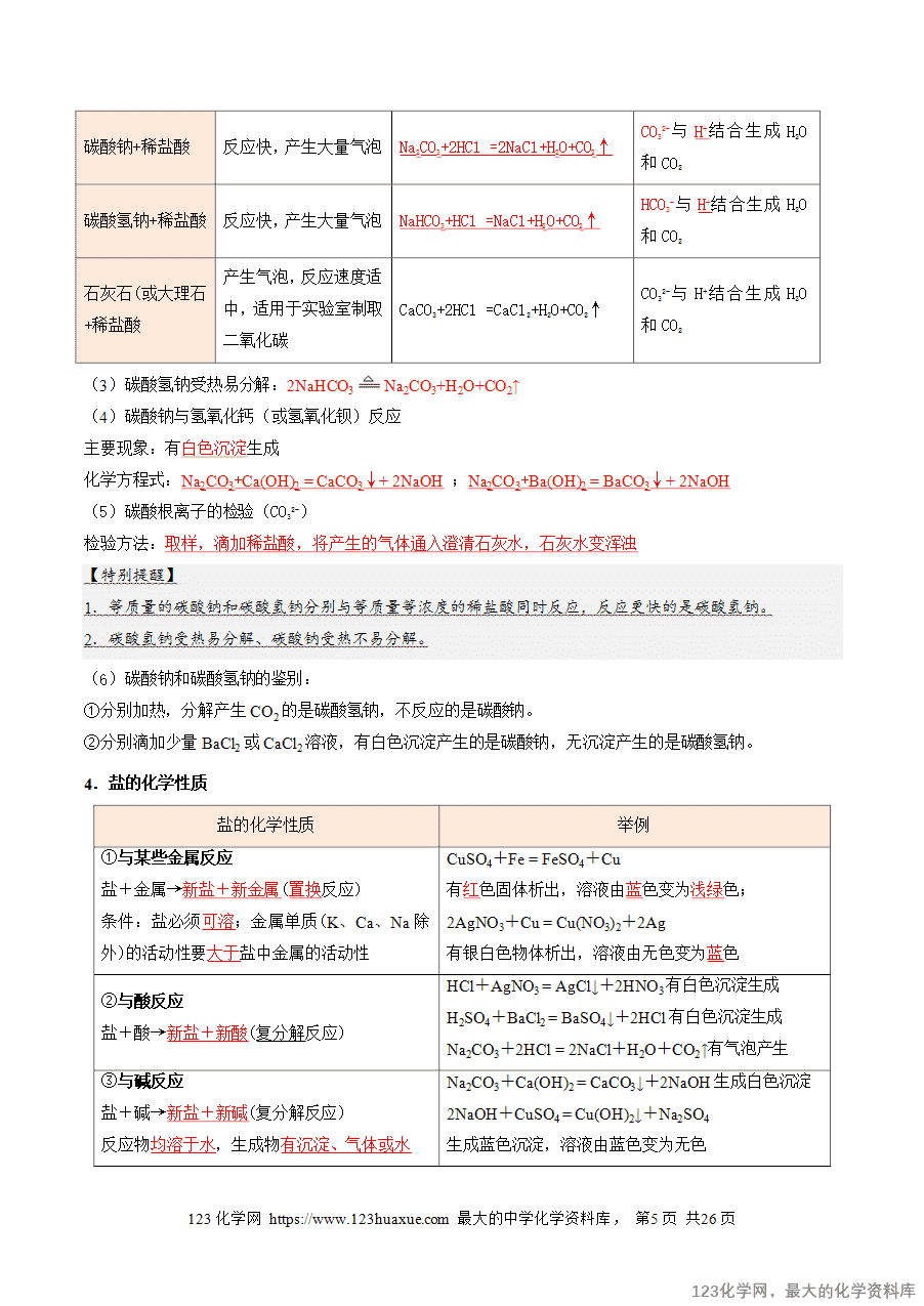 2025中考化学一轮复习专题10 常见的盐(讲义)(解析版)-5