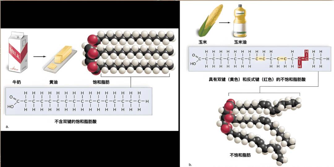 氢化植物油为什么没有得到普遍使用? 氢化植物油为什么没有得到普遍使用?