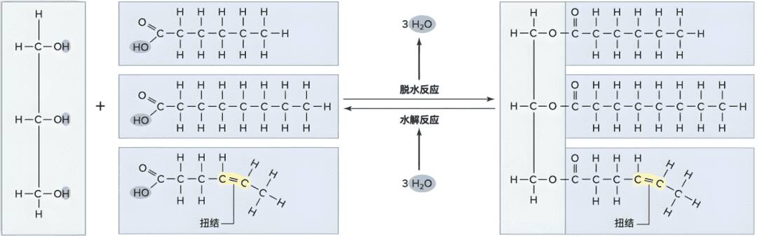 氢化植物油为什么没有得到普遍使用? 氢化植物油为什么没有得到普遍使用?
